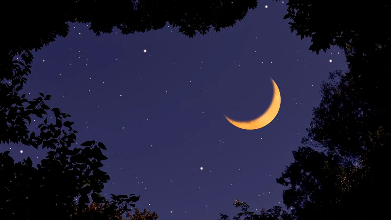 istockphoto.com/kyoshino