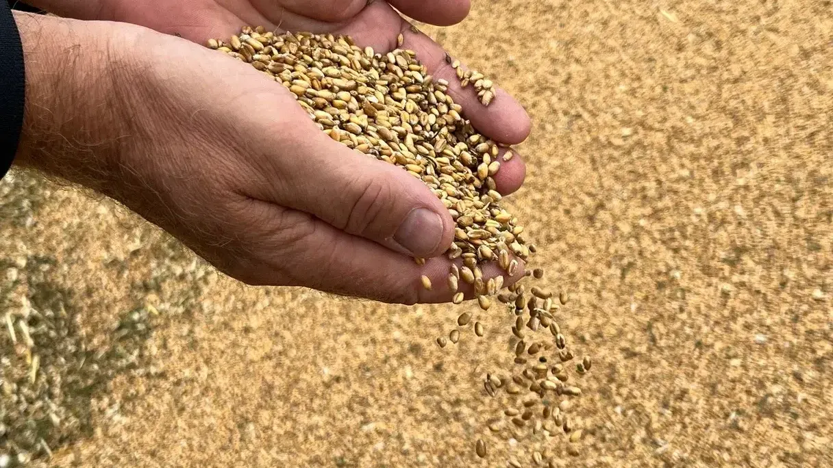 Пресс-служба Минсельхозпрод МО