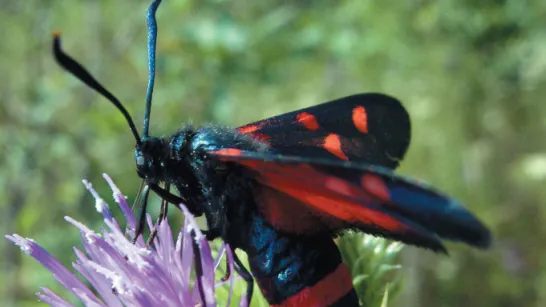 Фото: Фонд «Верховье»