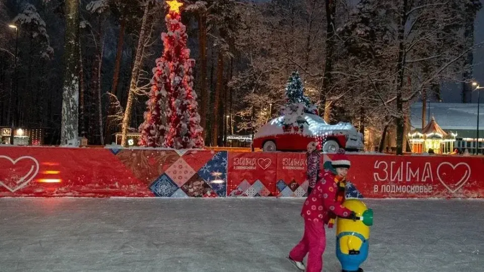 Фото: Министерство благоустройства Московской области