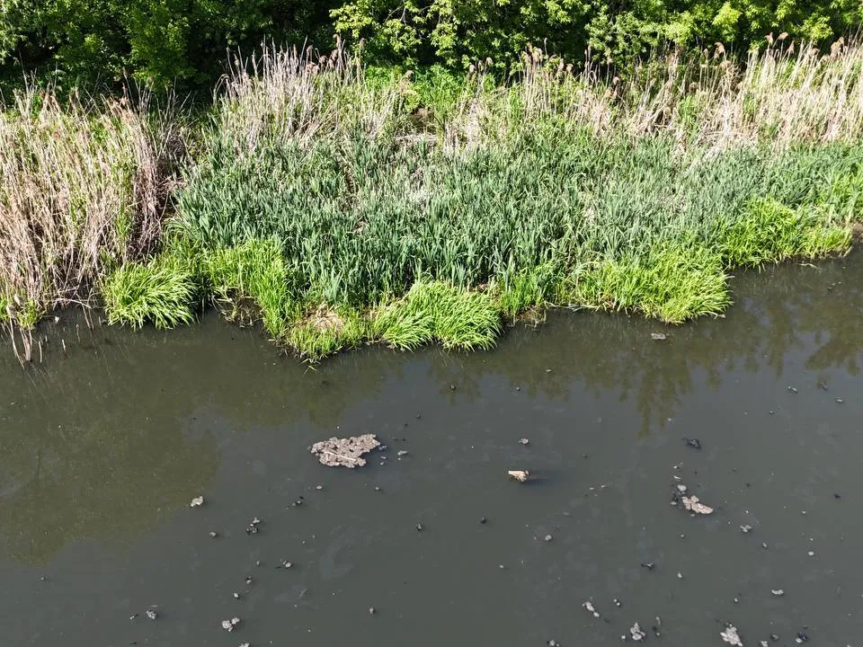 Фото: управление экологии городского округа Мытищи