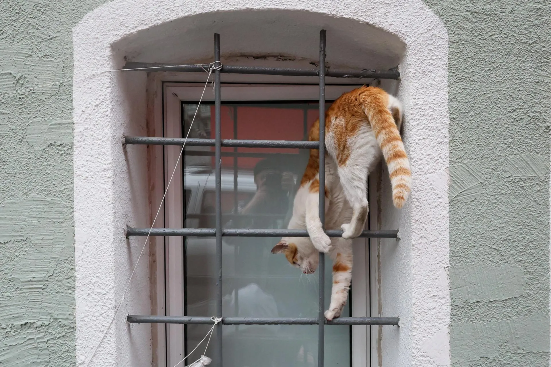 Belkin Alexey/news.ru