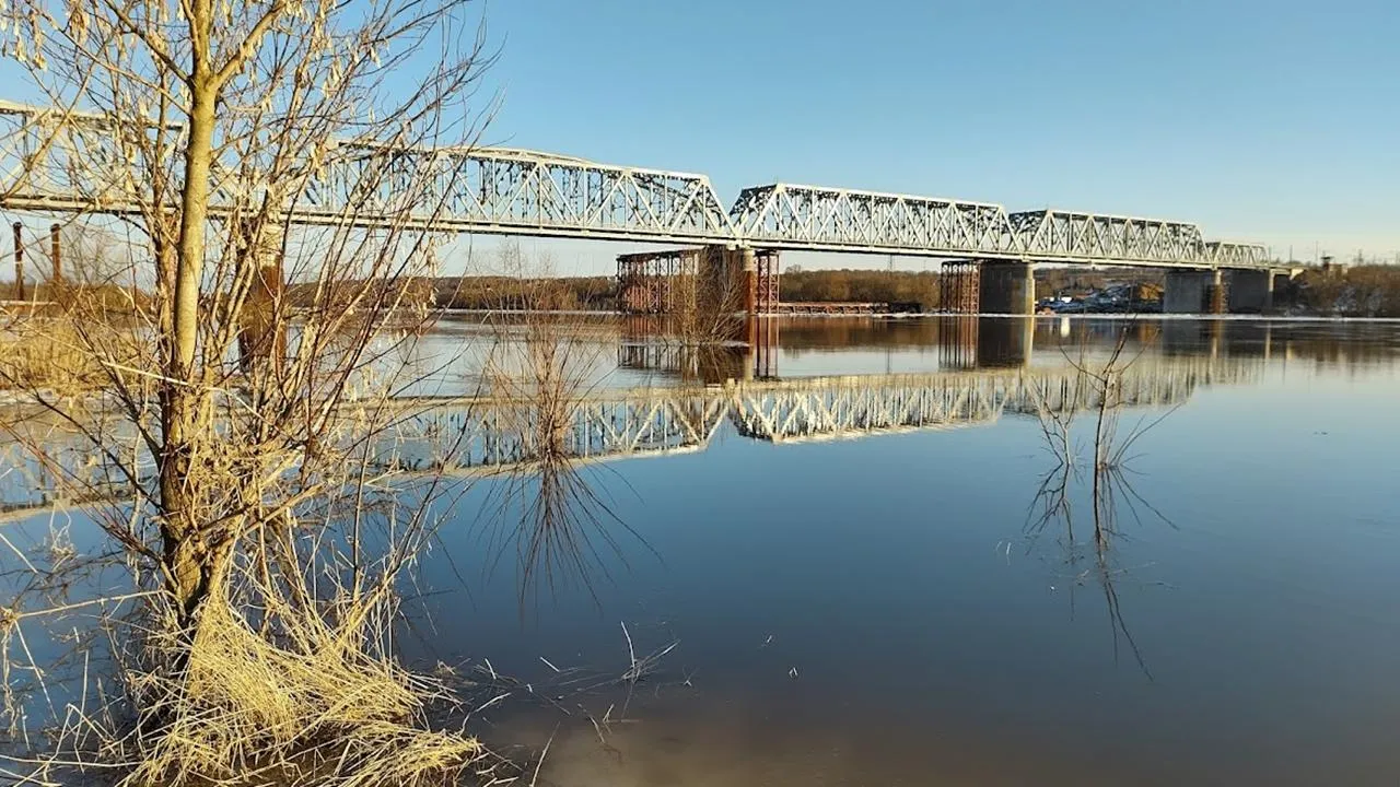 REGIONS/Алексей Селиверстов