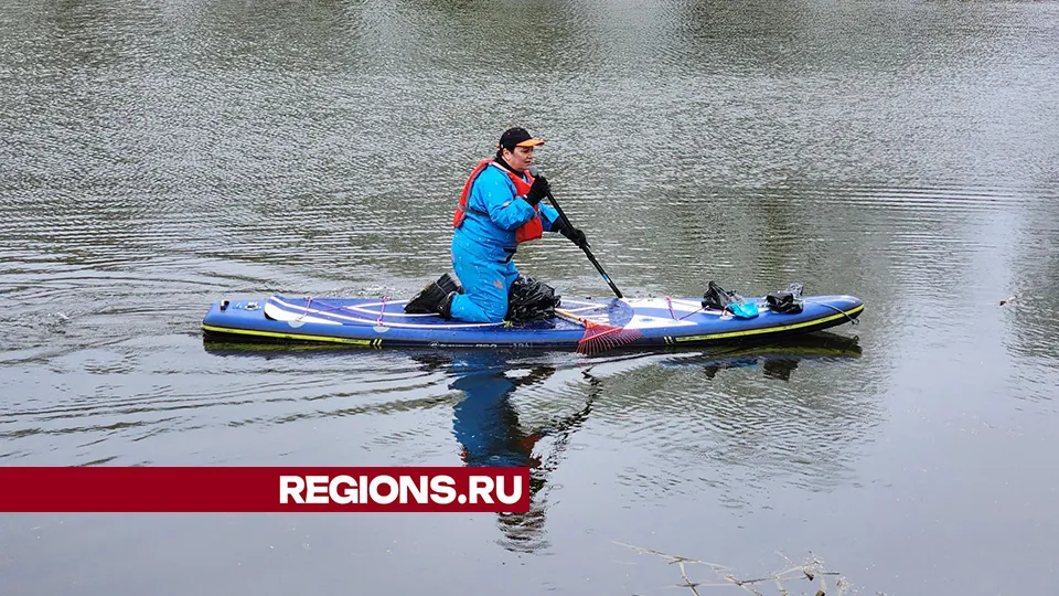 Автор фото: Светлана Плотникова