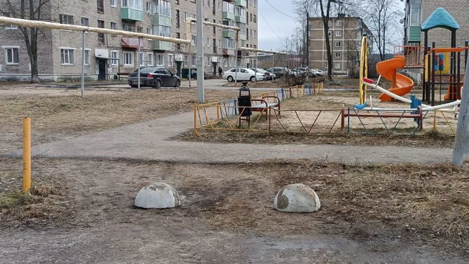 Фото: администрация Шатурского муниципального округа