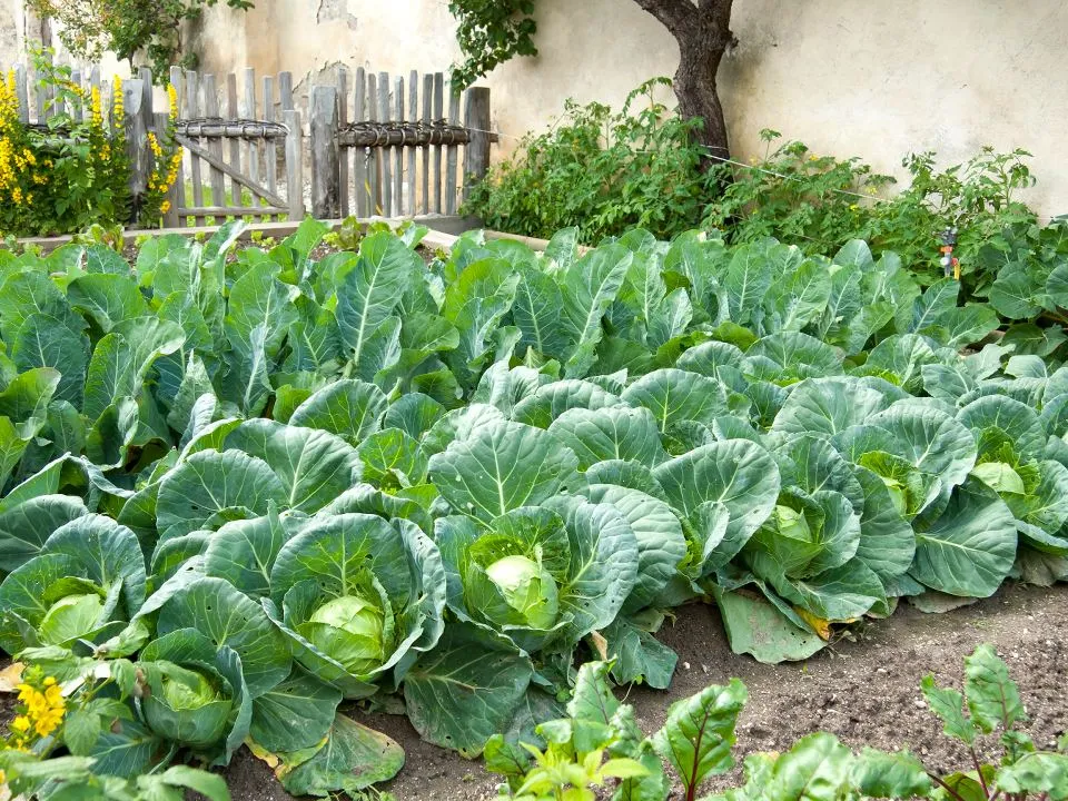 Фото: istockphoto.com