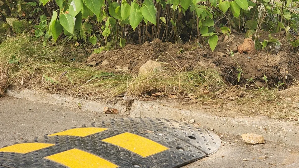 Фото: МедиаБанк Подмосковья/ Анна Мороз