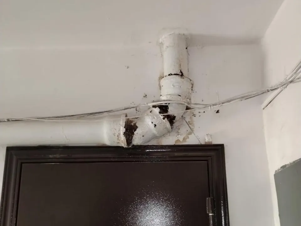 Фото: пресс-служба администрации г. о. Кашира