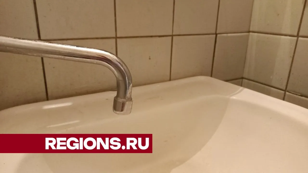 Фото: Олег Книжник