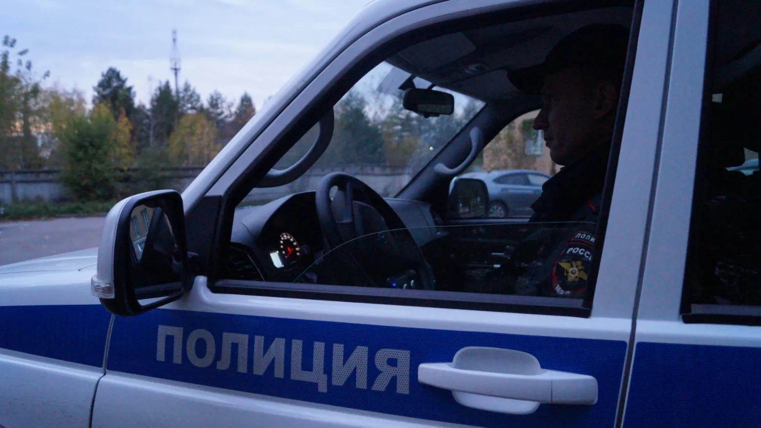 Фото: пресс-служба ОМВД России по Подмосковью