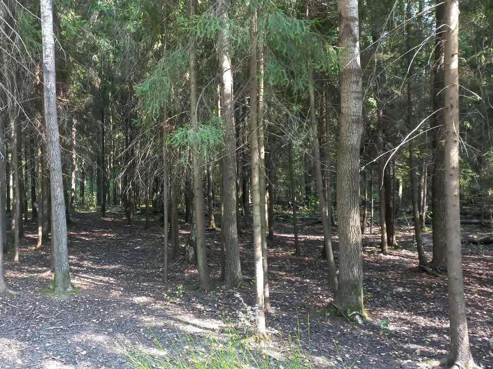 Фото: REGIONS/Олег Книжник