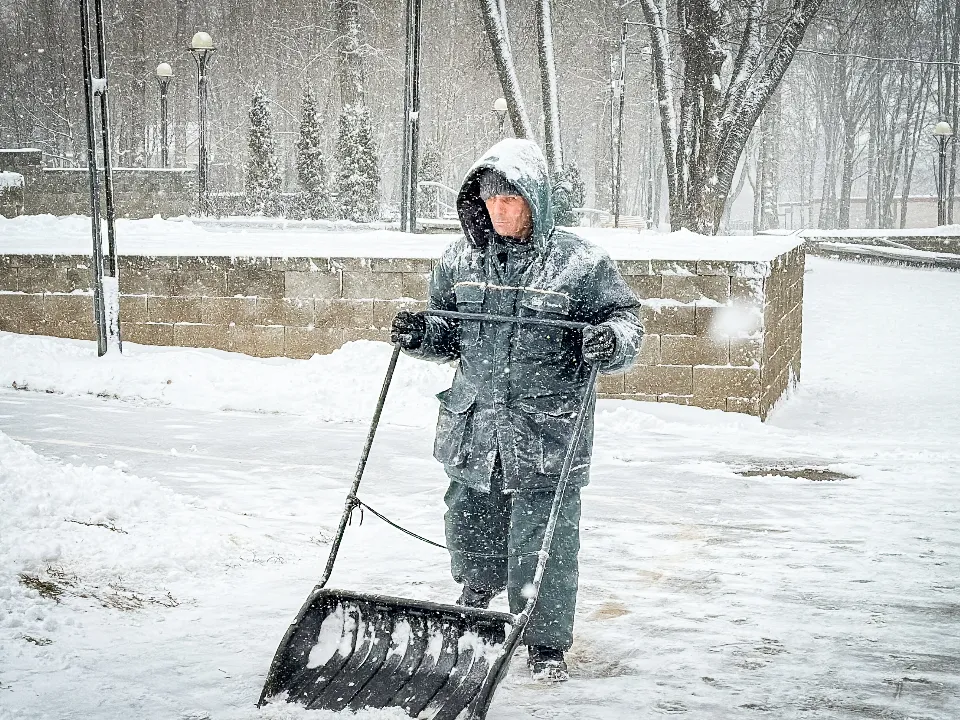 Фото: МедиаБанк Подмосковья/Данила Кирьянов