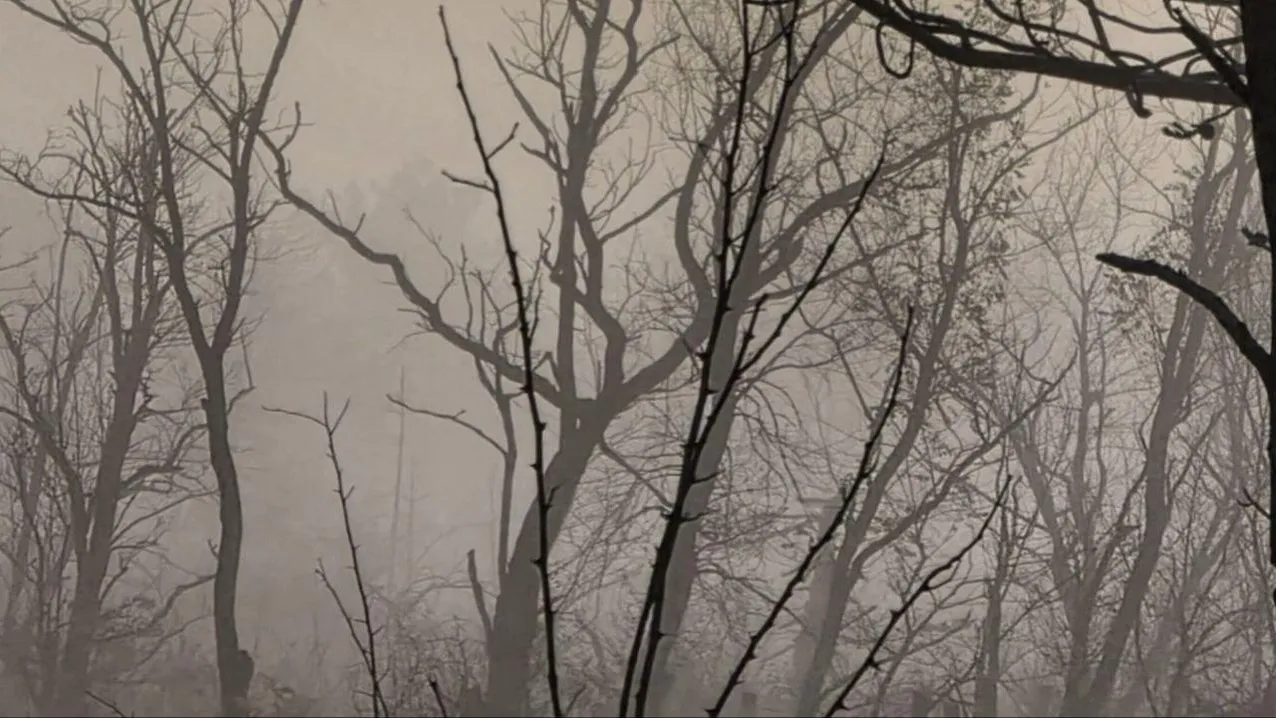 Марина Алифанова