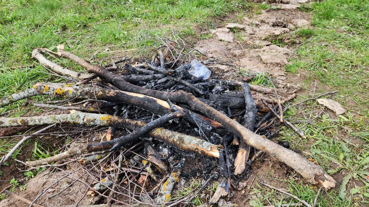 Фото: REGIONS/Яна Шаливская