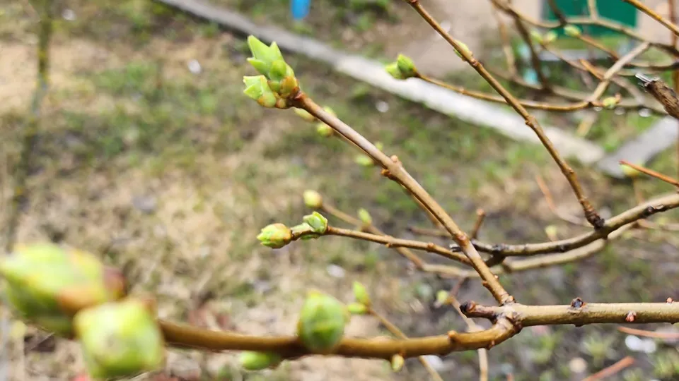 Фото: REGIONS/Наталия Надточая