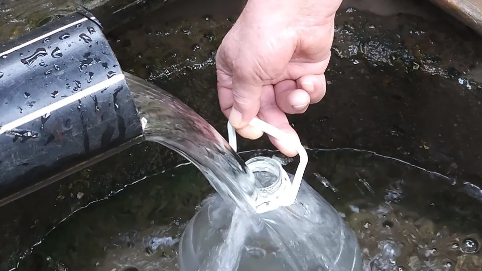 Фото: МедиаБанк Подмосковья/Валерия Тингаева