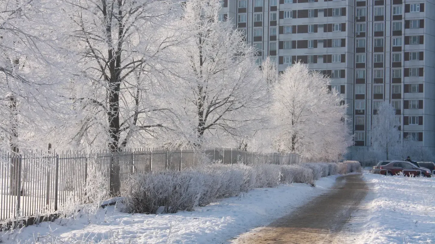 медиасток.рф