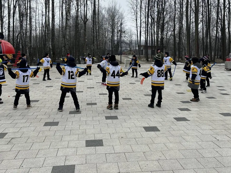 Фото: управление по физической культуре и спорту администрации г. о. Электросталь