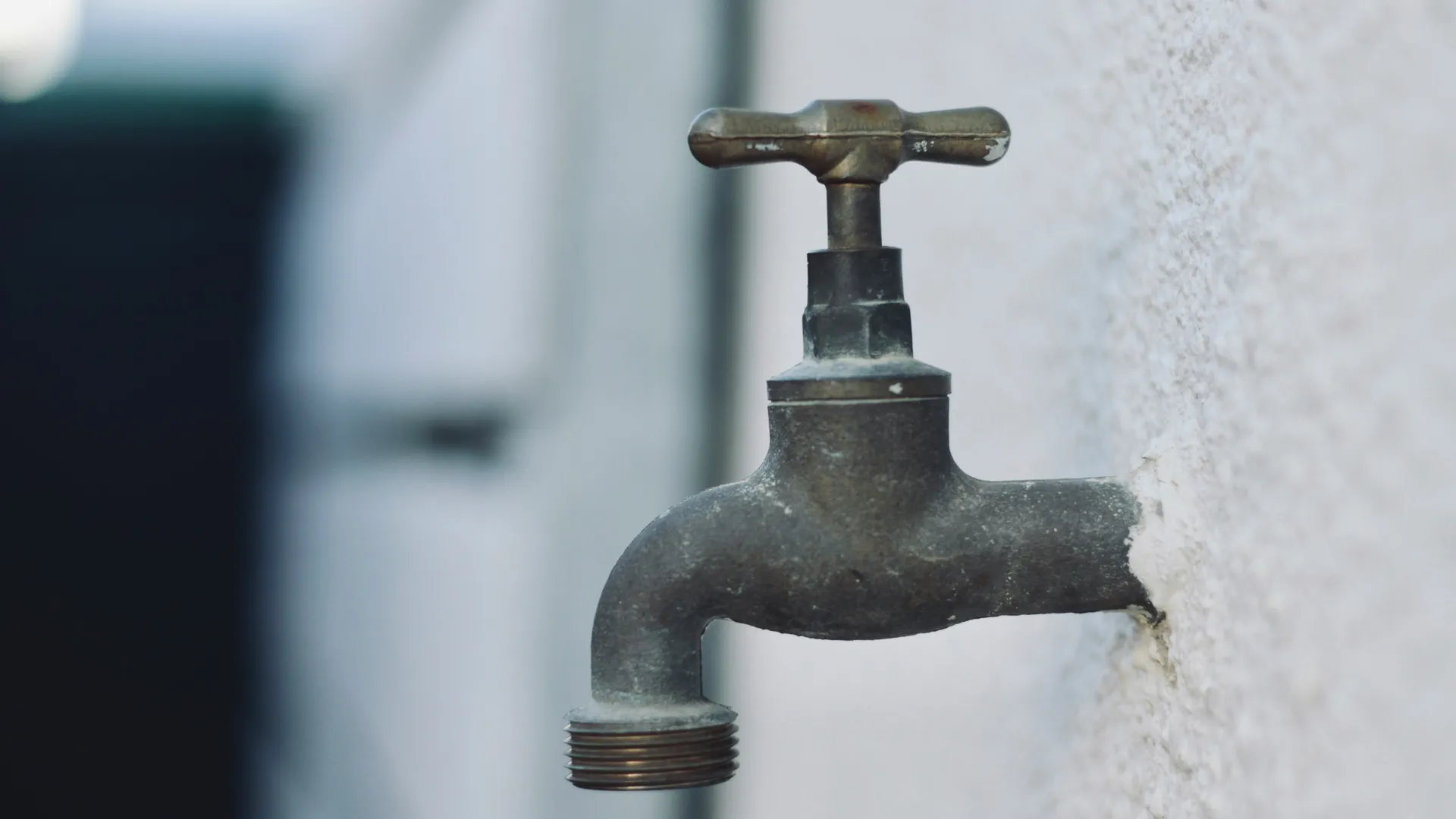 Фото: unsplash.com