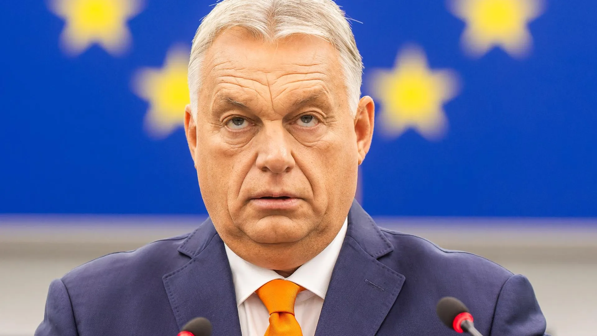 Philipp von Ditfurth