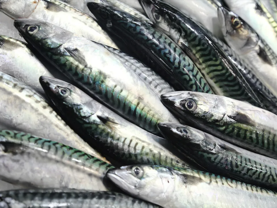 Фото: istockphoto.com/vuk8691&nbsp;