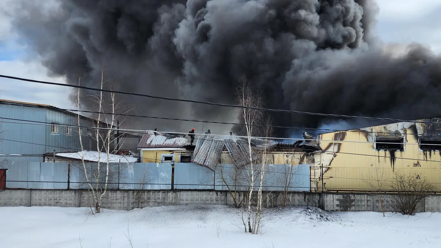 Фото: Ирина Моисеева