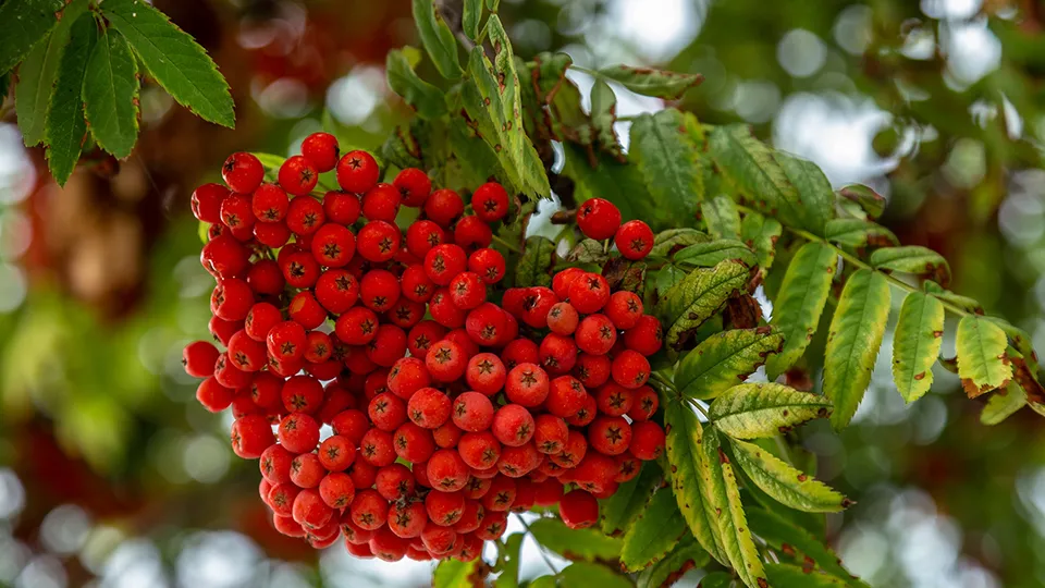 Фото: Антон Кондратюк