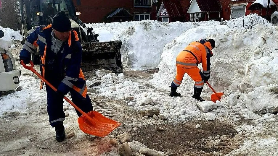 Фото: Пресс-служба администрации городского округа Истра