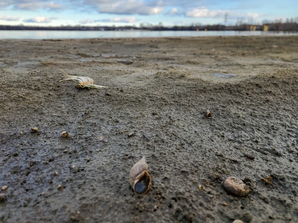 Фото: REGIONS/Михаил Мартыненко