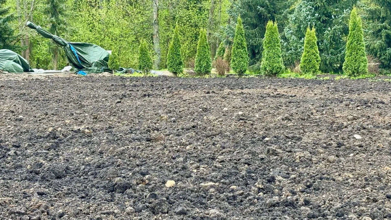 Фото: телеканал «Дубна»