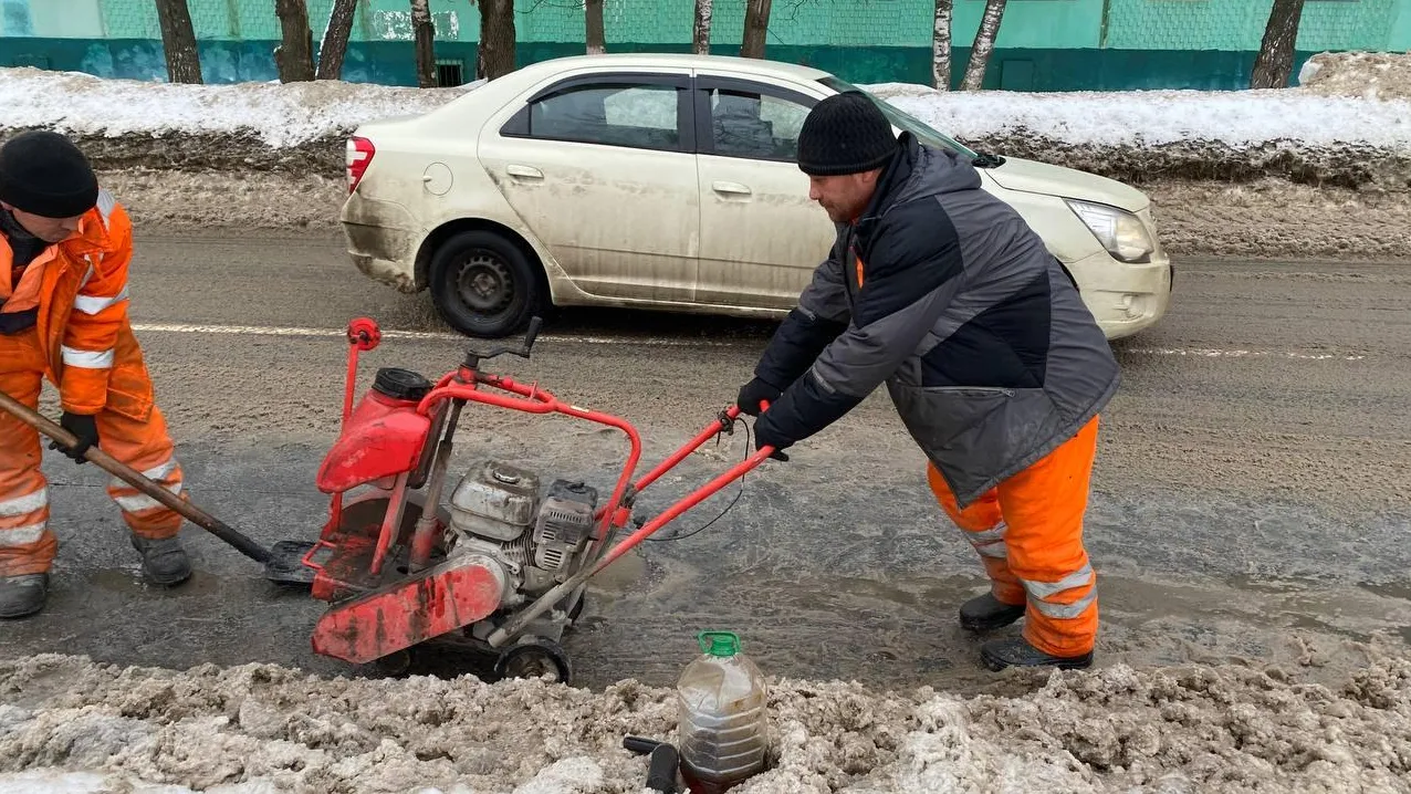 фото, видео: Елена Лабзина