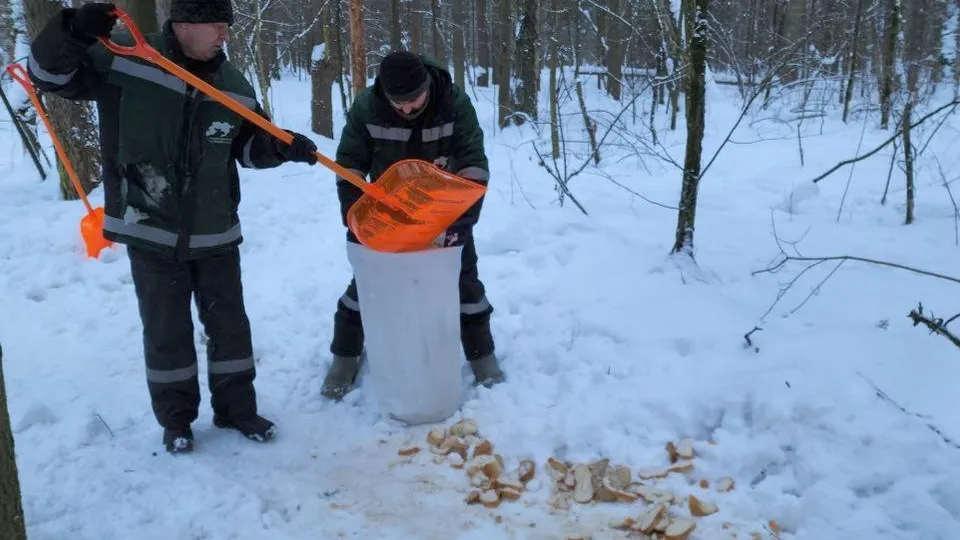 Фото: МедиаБанк Подмосковья/Роман Яковлев