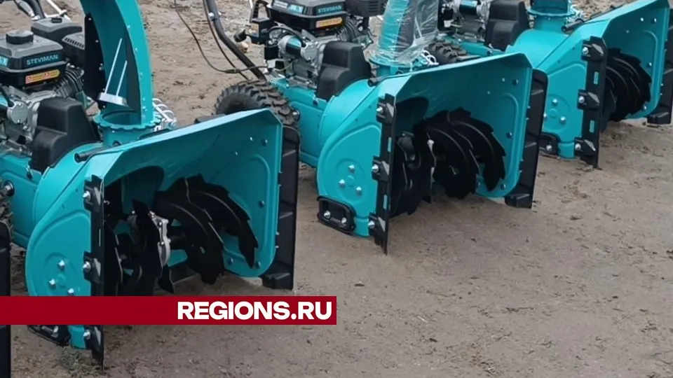 Фото: Екатерина Дятловская