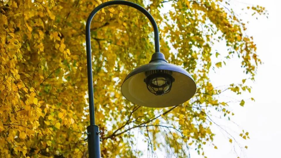 Фото: Министерство благоустройства Московской области