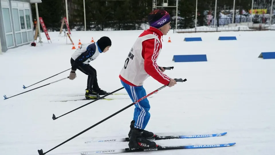 Фото: пресс-служба администрации г.о. Химки