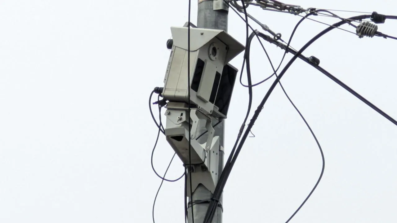 Фото: REGIONS/Алексей Селиверстов