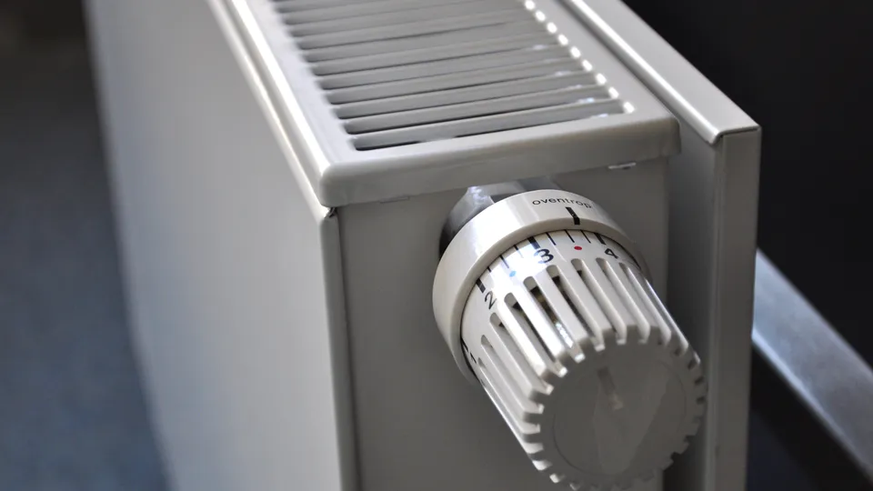 Фото: pxhere.com