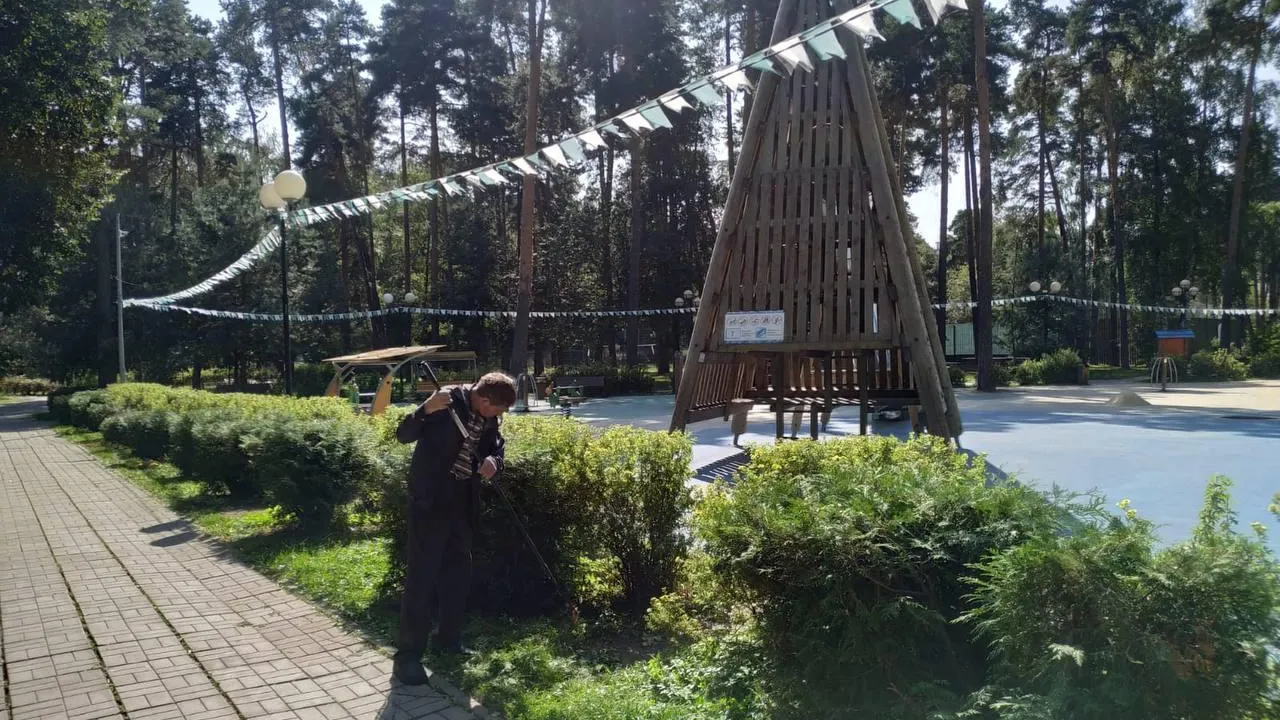 Фото: пресс-служба Администрации г.о. Красногорск