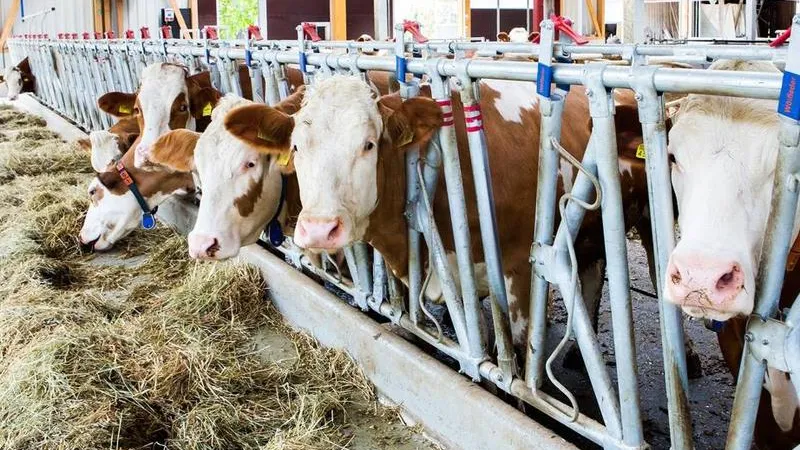 DeLaval/facebook.com