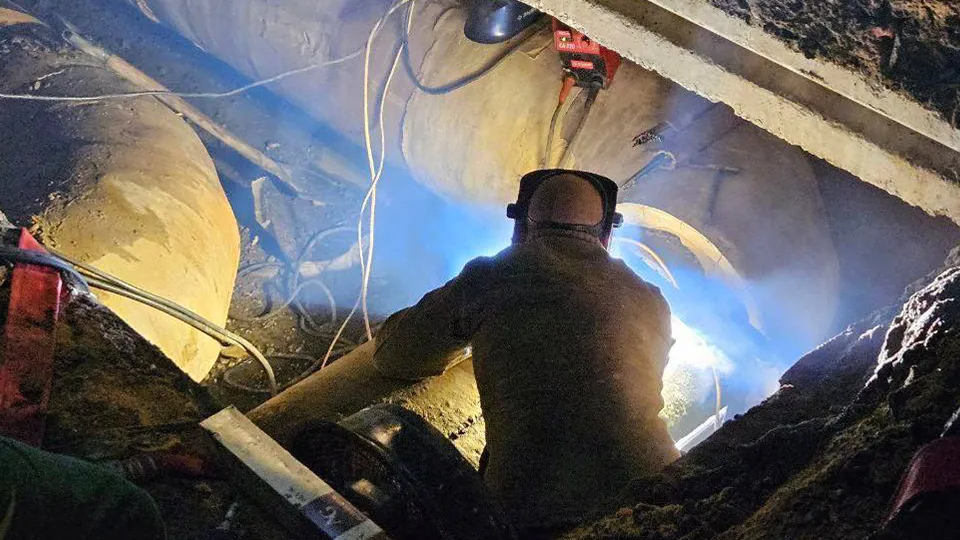 Фото: МедиаБанк Подмосковья/Вероника Горбачева