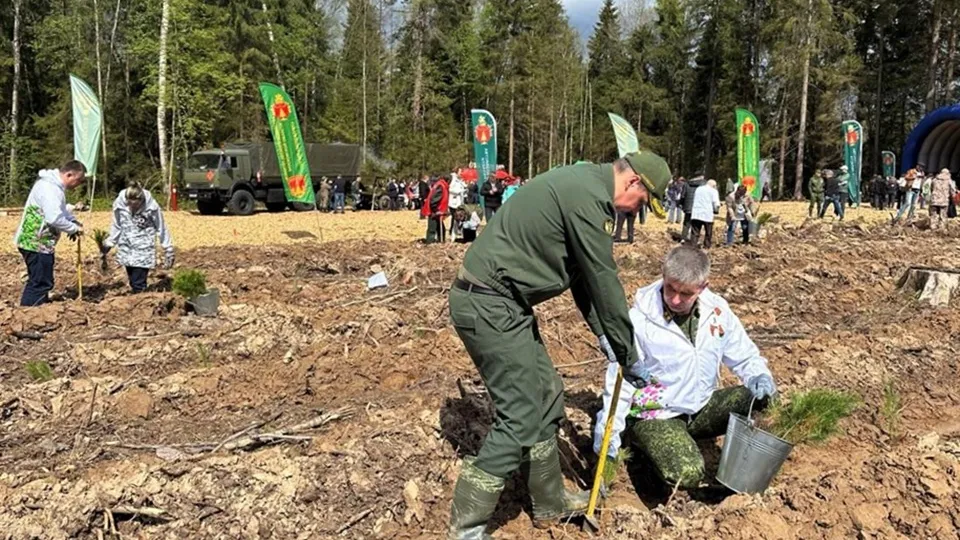 Фото: Комитет лесного хозяйства Московской области