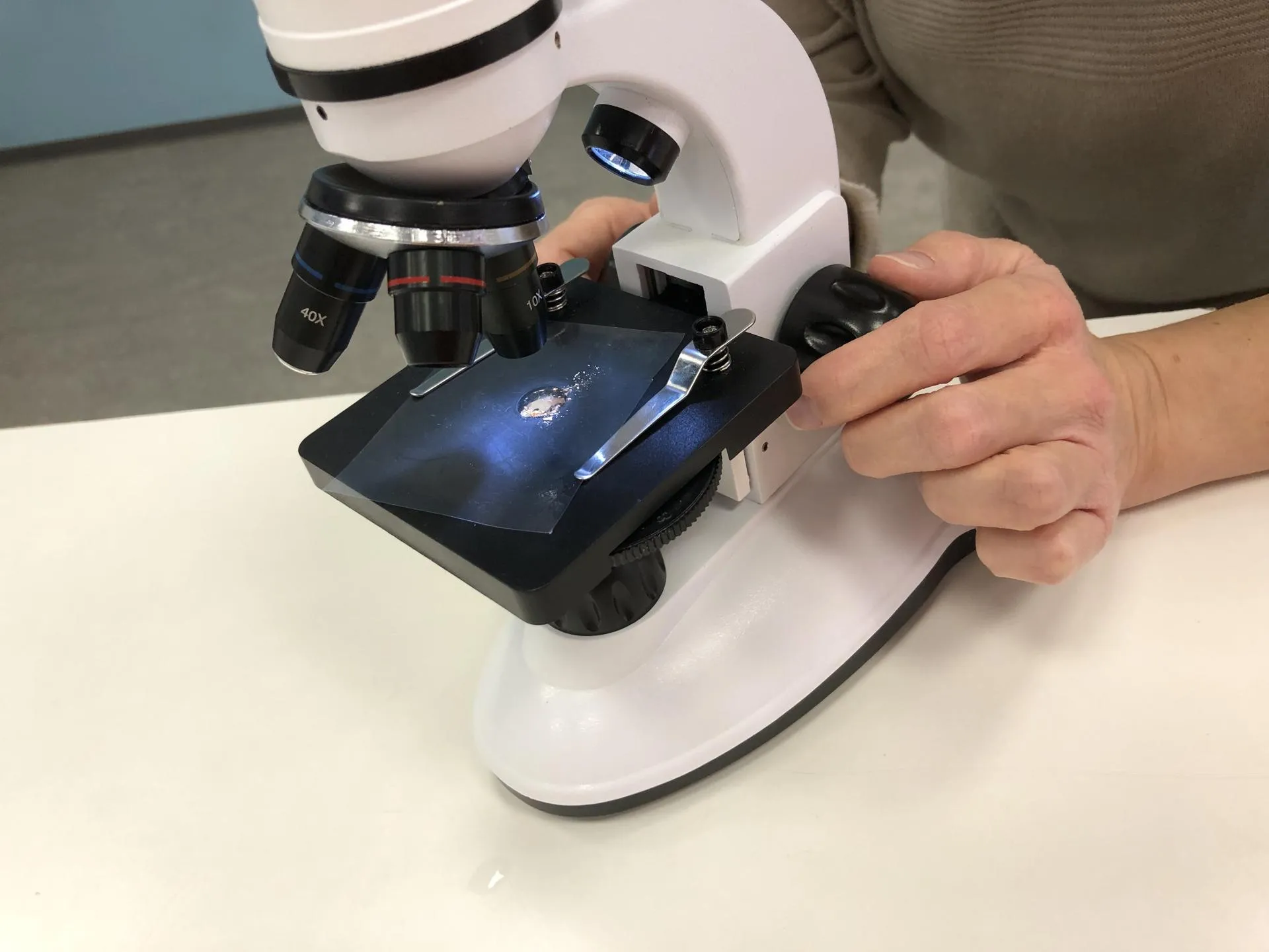 Фото: Дарья Савинова