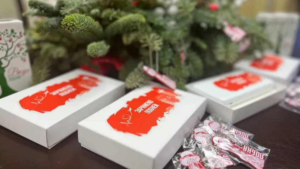 Фото: пресс-служба администрации городского округа Лобня