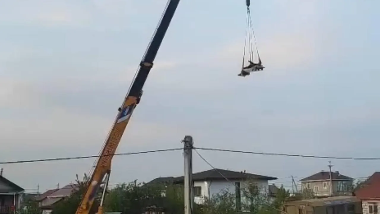 Прокуратура Приморского края