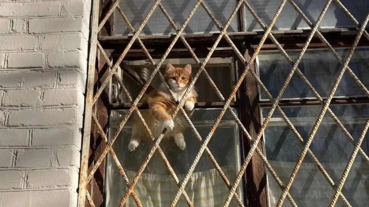 Социальные сети