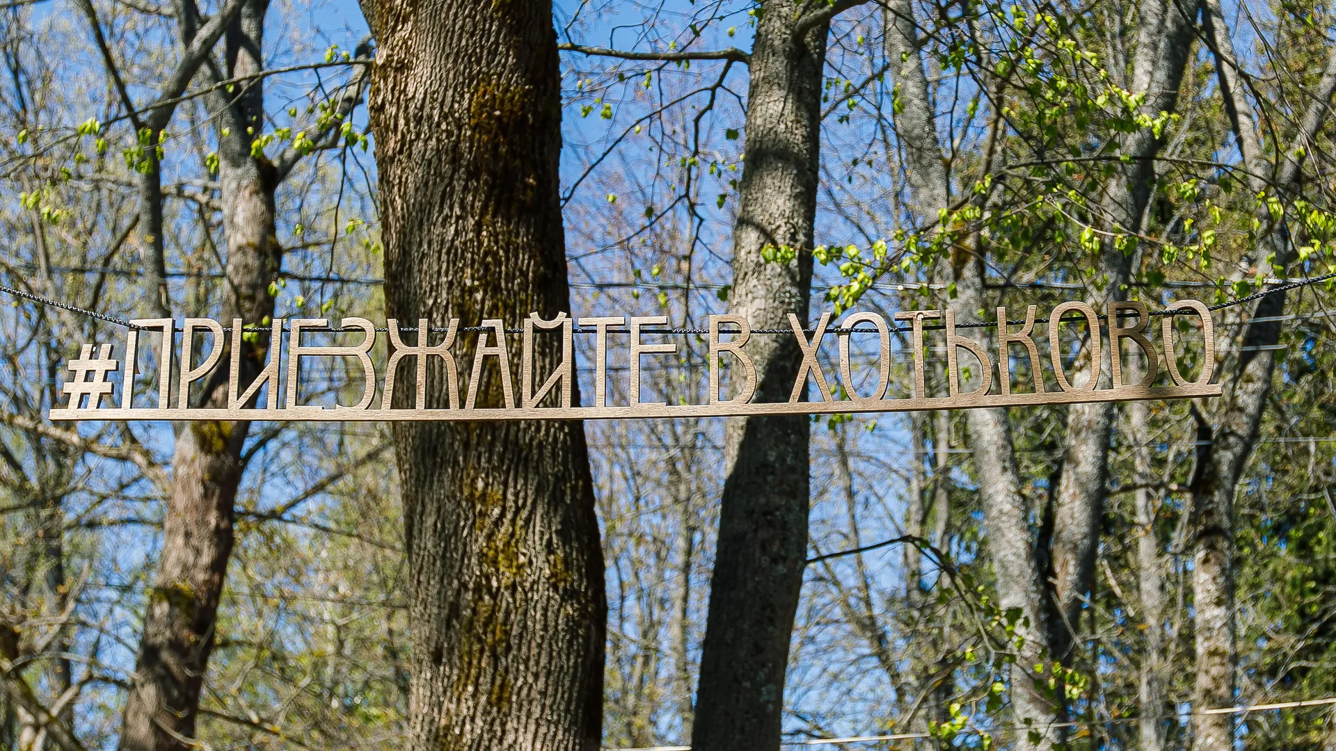 Фото: медиасток.рф