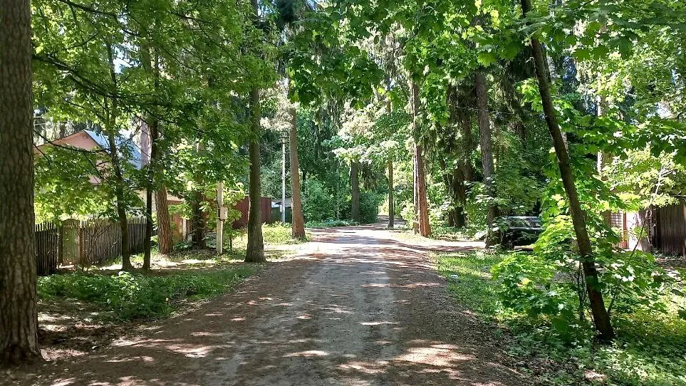 Фото: Олег Книжник