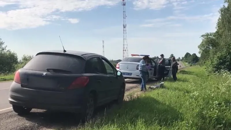 ГУ МВД РФ по МО