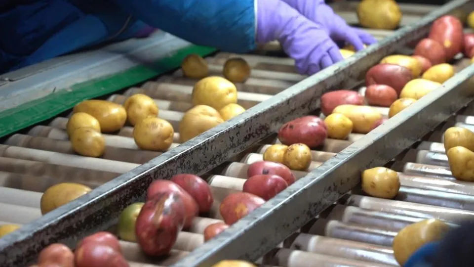 Фото: пресс-служба Администрации г.о. Егорьевск