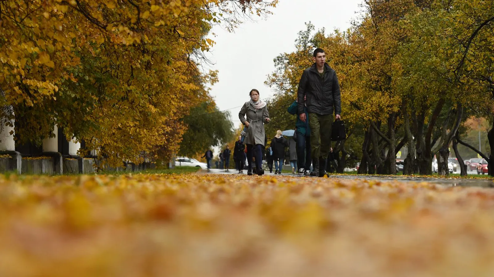 Фото: медиасток.рф